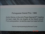 Description on Senna print