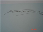 Artist Michael Turners signature on print 89/100.